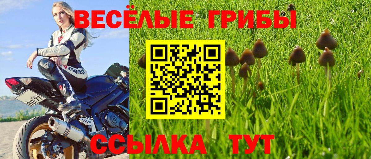 Канаш  Псилоцибиновые грибы мицелий  Вход с VPN 