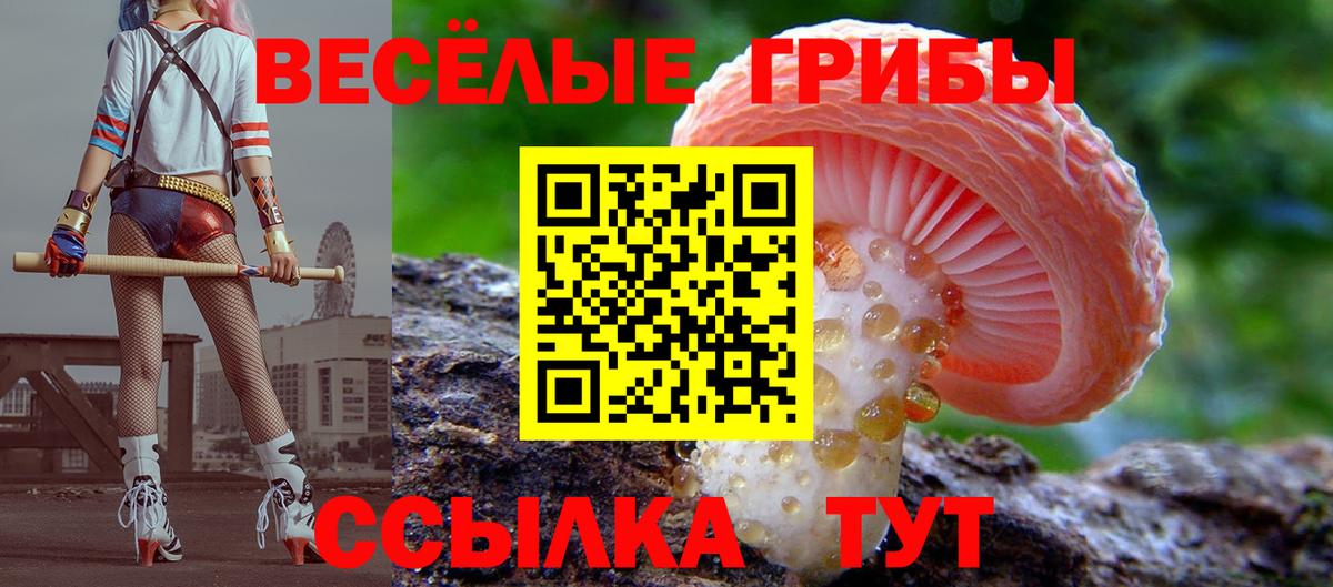 Псилоцибиновые грибы прущие грибы Канаш